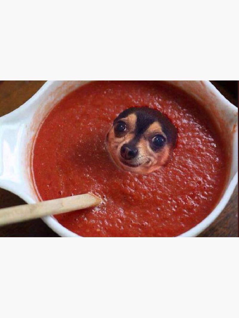 Featured image of post Barco Clickshare Issue